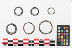 Foto von Bronzering (NHMW-PRAE-002279)